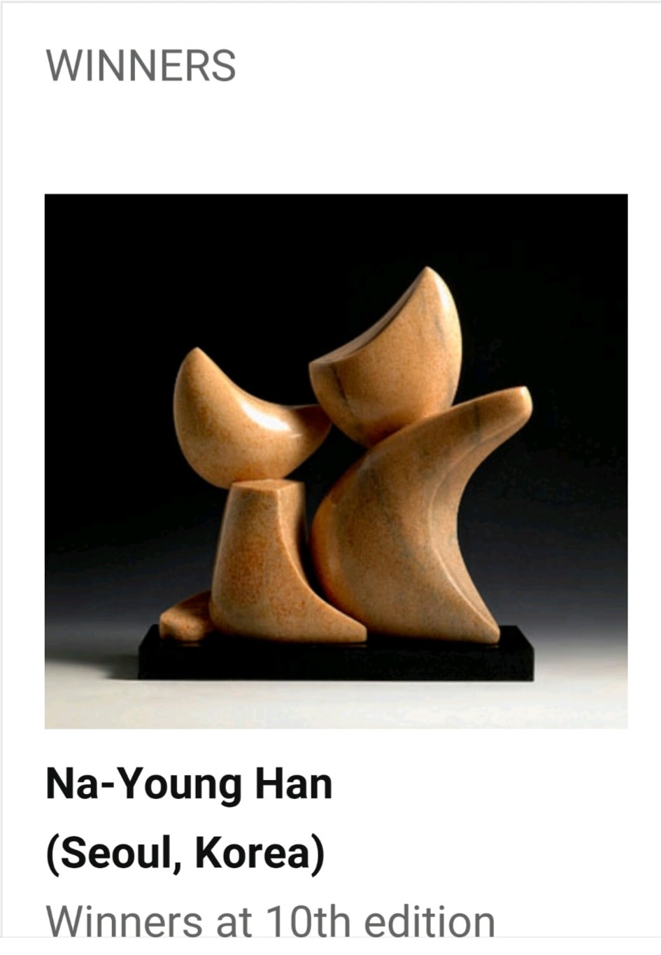 Arte Laguna Prize 제10회 수상자 페이지에 소개된 한나영